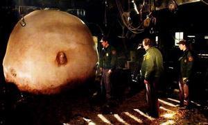 撕裂人 在线观看,惊悚悬疑，揭秘人性深渊