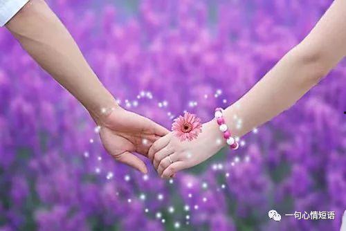 牵手在线观看,浪漫邂逅,情感之旅 第3张 牵手在线观看,浪漫邂逅,情感之旅 第3张